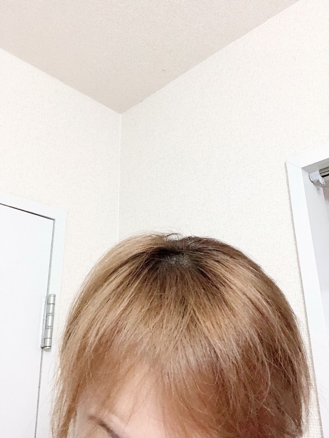 本日の