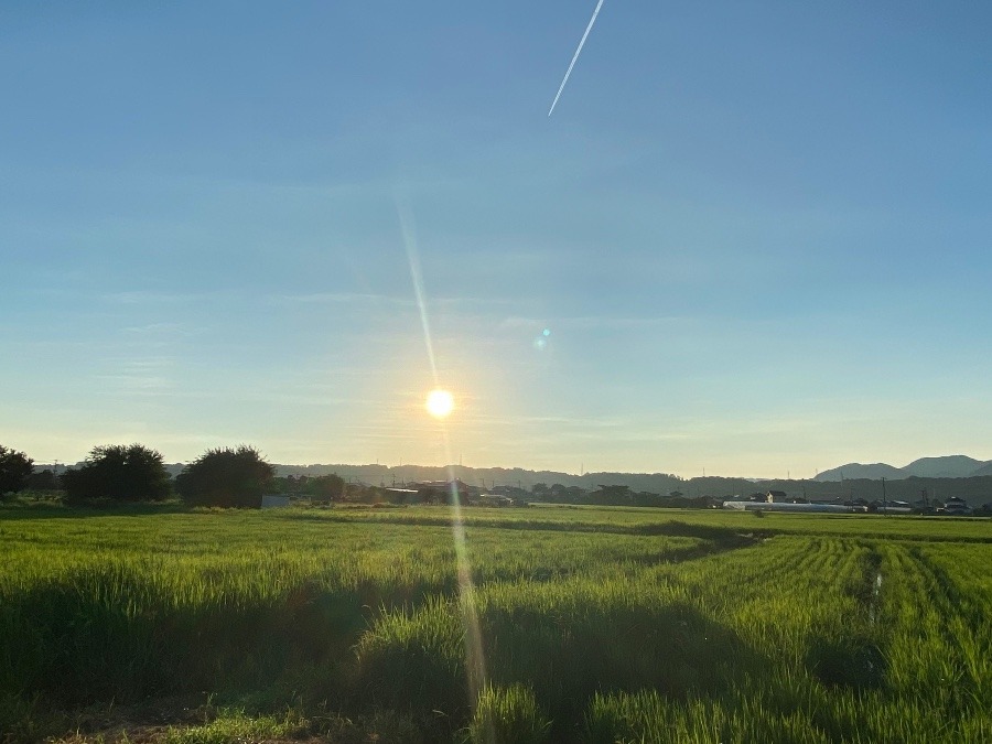 今朝の空　８／9