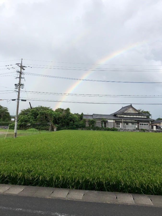 今朝の空