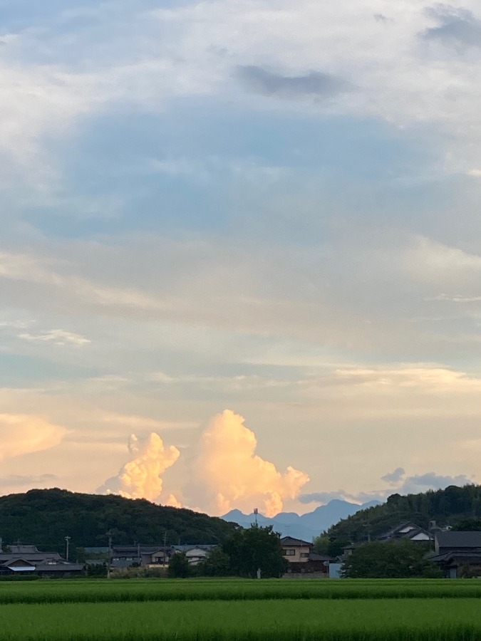 雨上がり19時の空