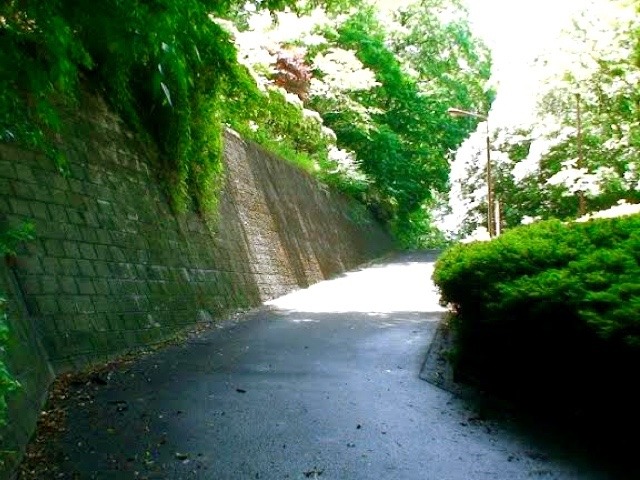 ☆坂道のある風景部　かに坂☆