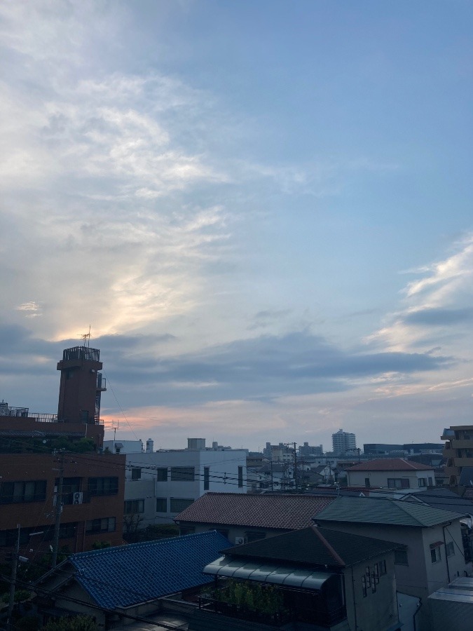 朝だー