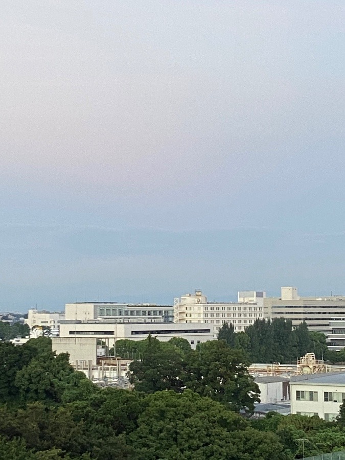 今朝の富士山