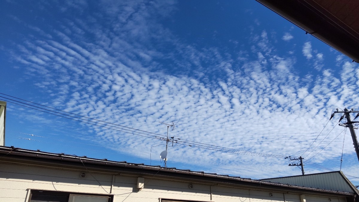 今朝の空！