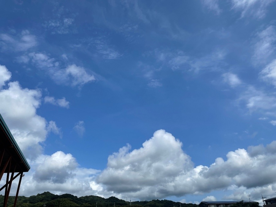 朝の空8/6 10時頃