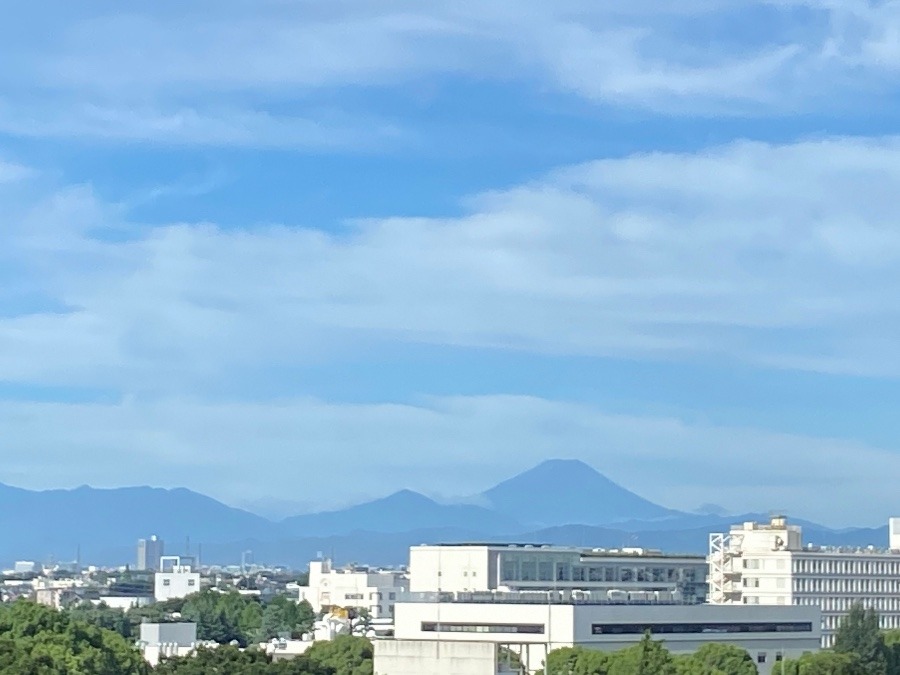 今朝の富士山