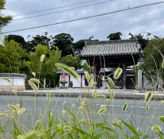 龍雲寺への行き方