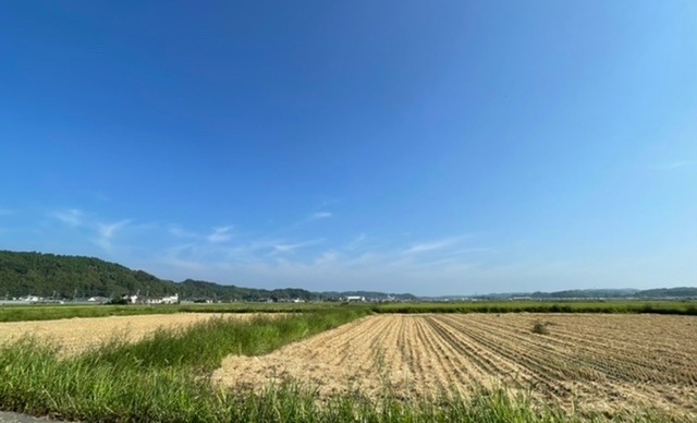 8月の風景！