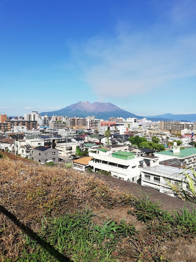 今日の桜島!