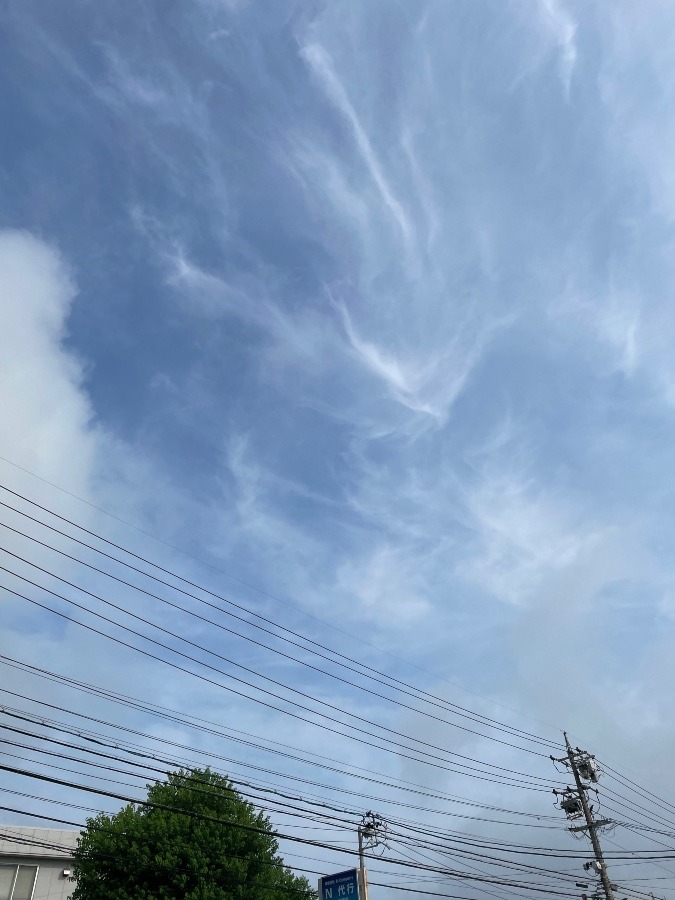 今日の岡崎