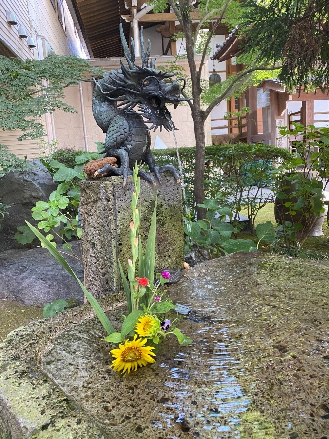 母のお寺さんから🛤🌸🌼