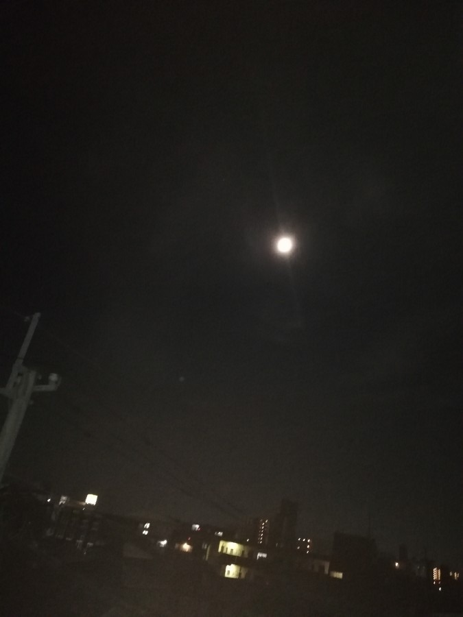 明日満月🌕
