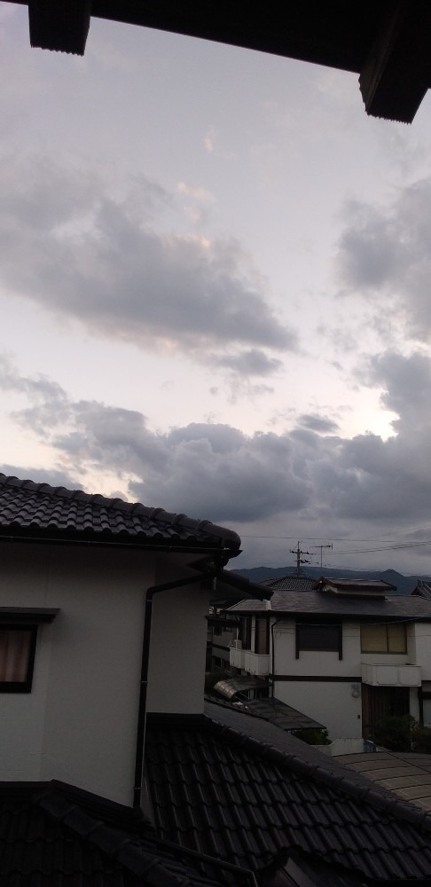 夕空の雲　魚かな　！！