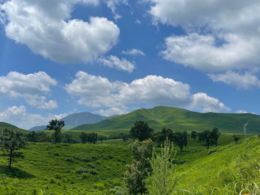 通勤の風景3