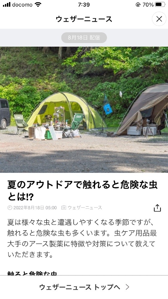 夏の危険な虫