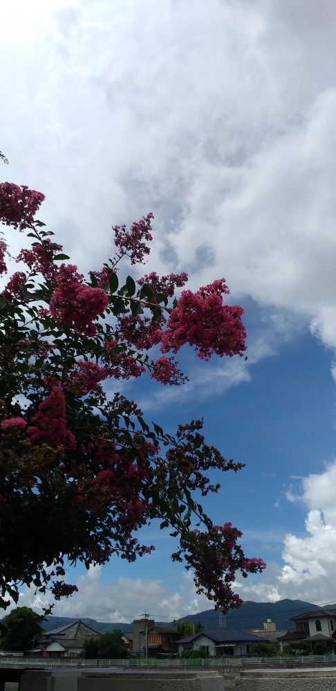 青空　白雲　ヒºンク