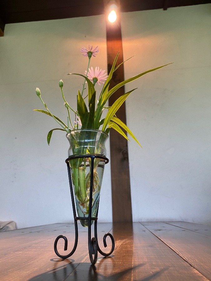 町屋のカフェ　中庭の花