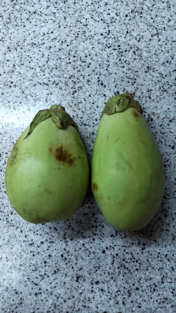 頂き物