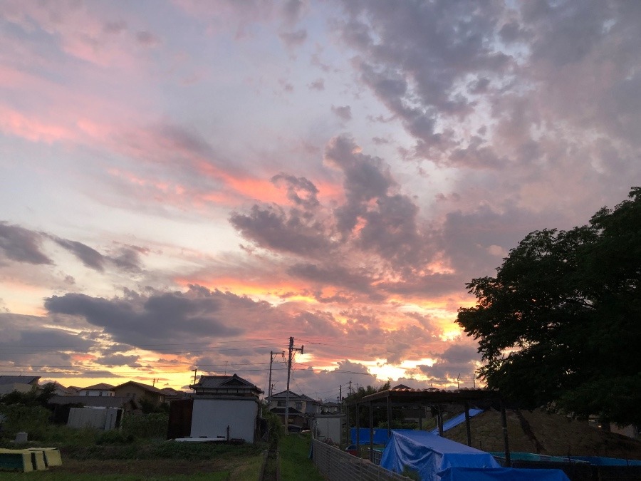 ✨19時30分の夕陽✨