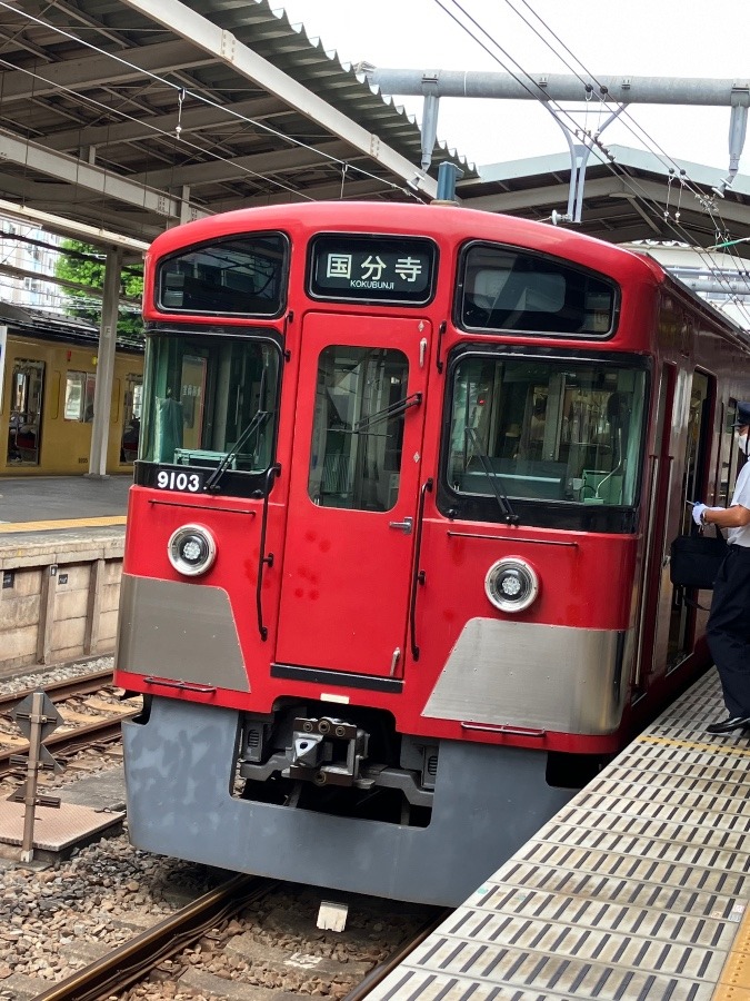 今朝の国分寺線