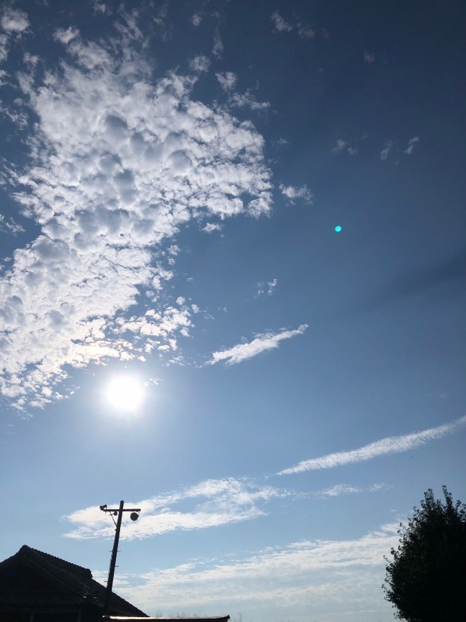 朝の空　