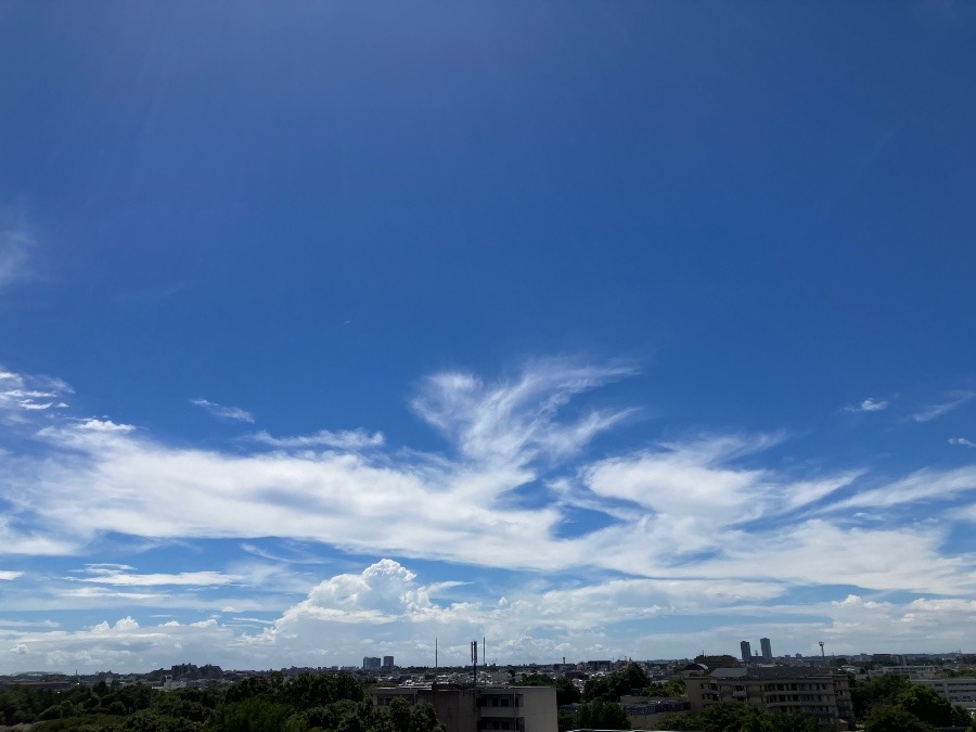 夏ですね〜