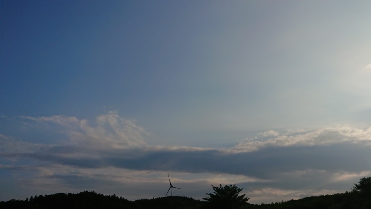 夕空がいいね〜🌿