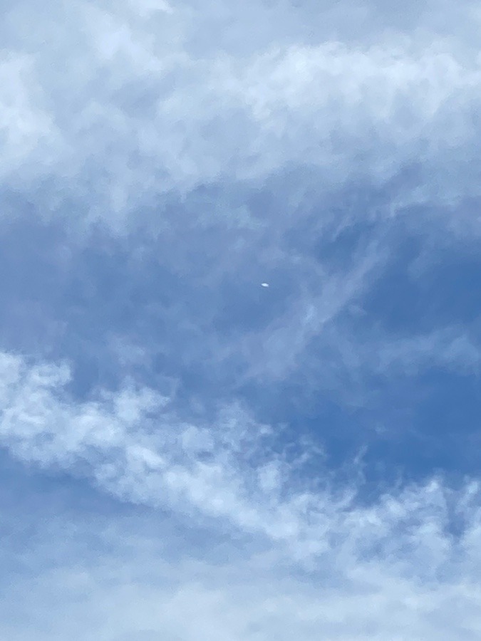 雲と飛行機☁️🛩