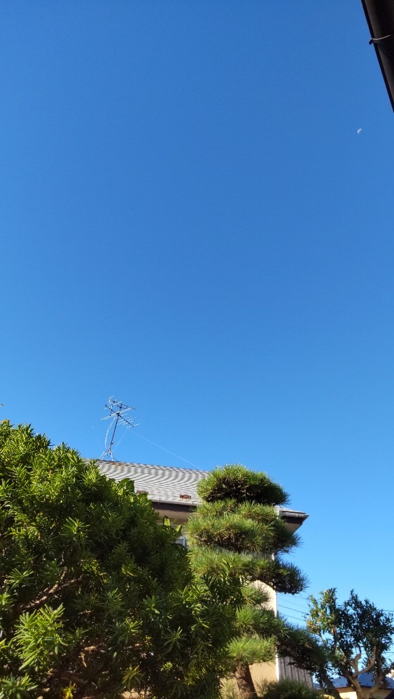 今日の空‼️