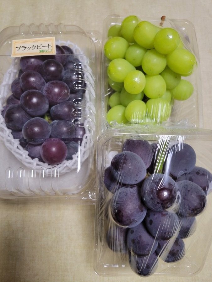 🍇お目当てのブドウ🍇