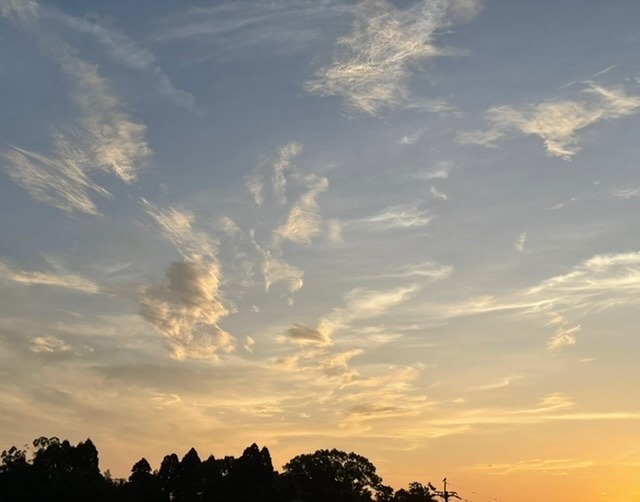 2022/08/14 朝の空