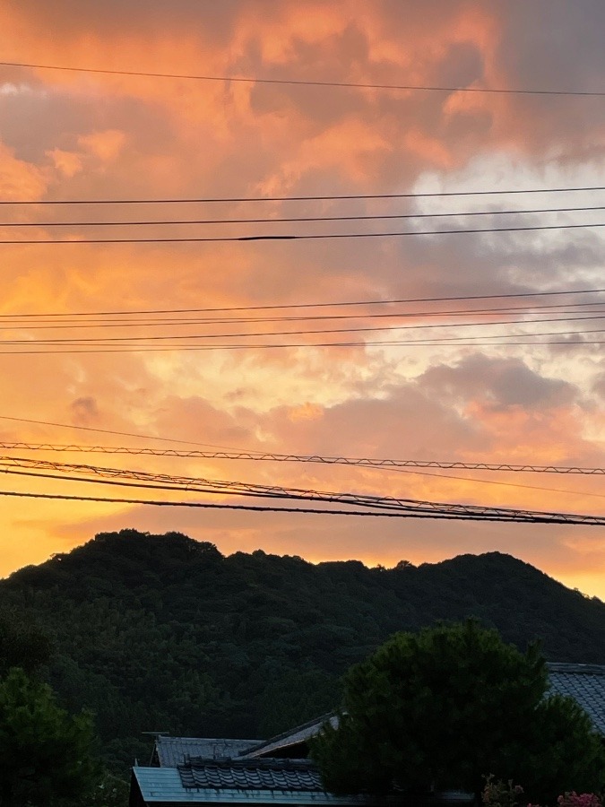 夕焼け