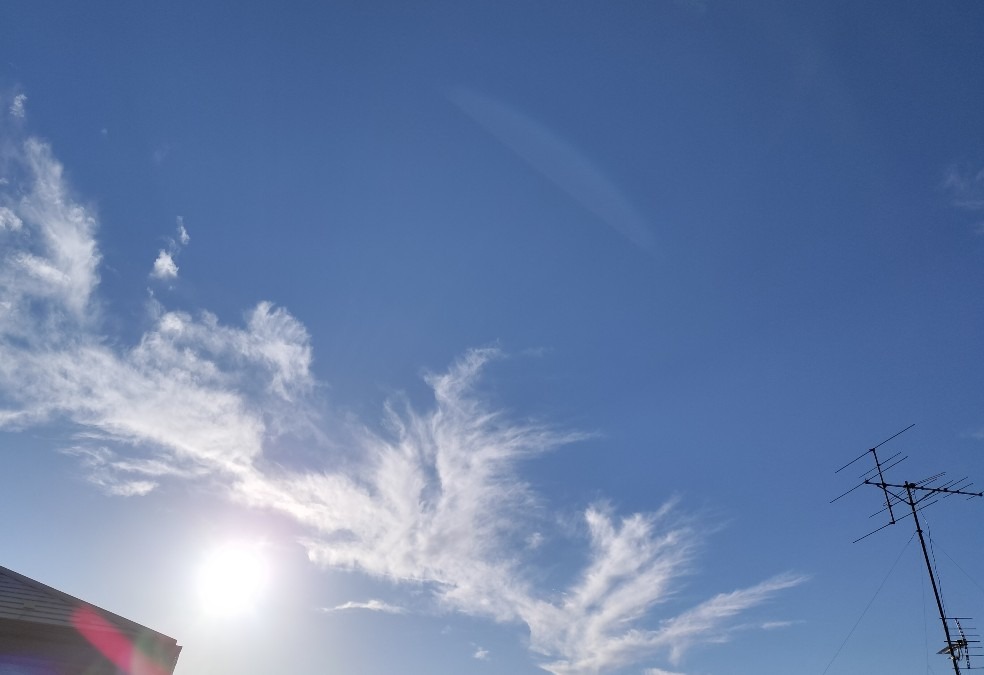 8月19日朝の空