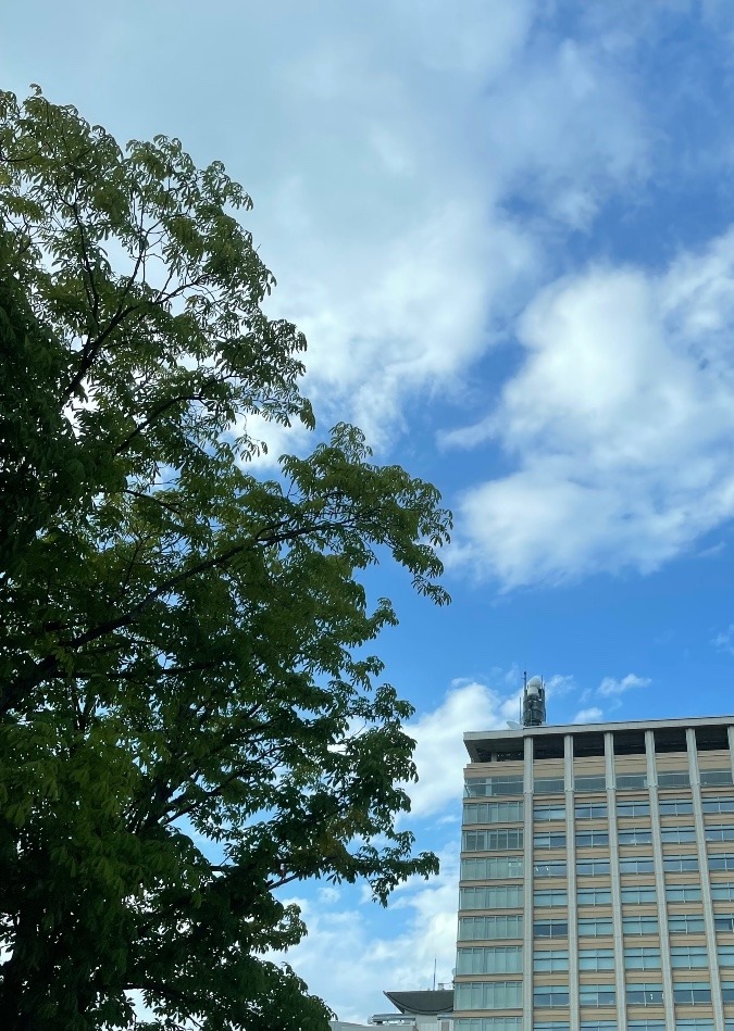 栃木県庁^_^