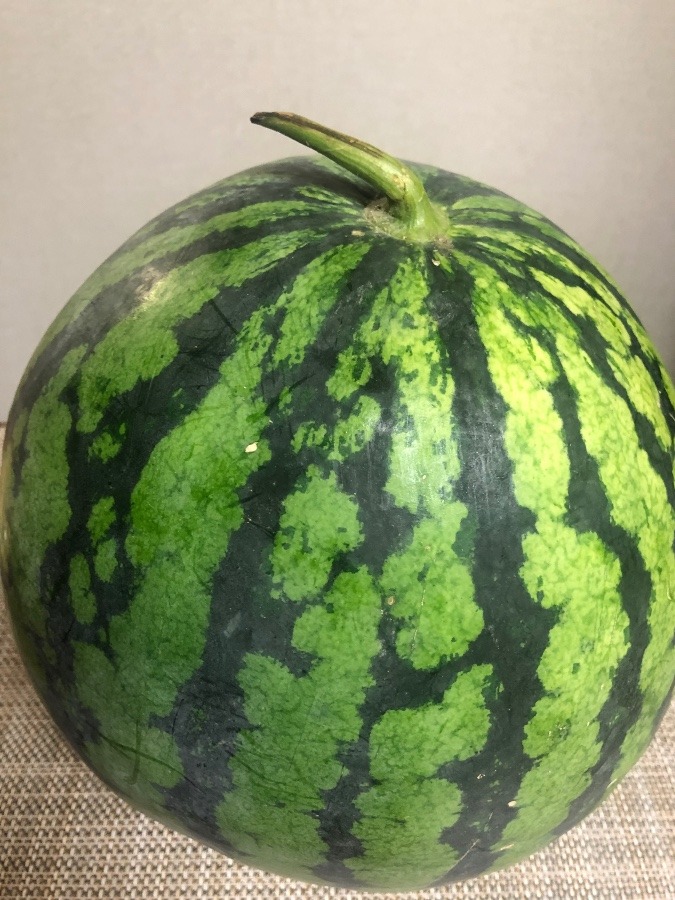 見た通り🍉です！