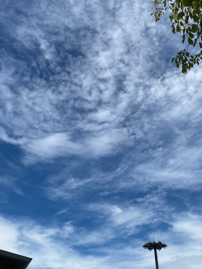 お昼の空☀️☀️☁️☁️