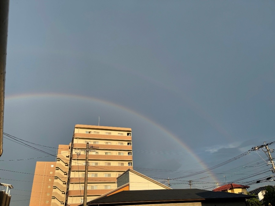 大粒の雨の中