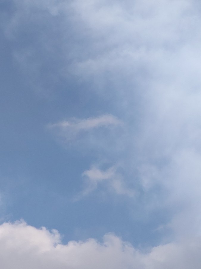 今朝の出雲の空