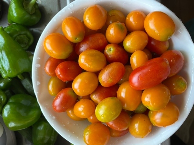 今日の収穫🍅🫑