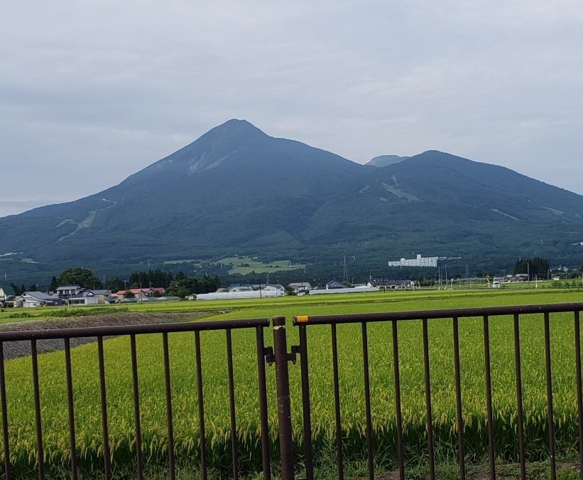 宝の山