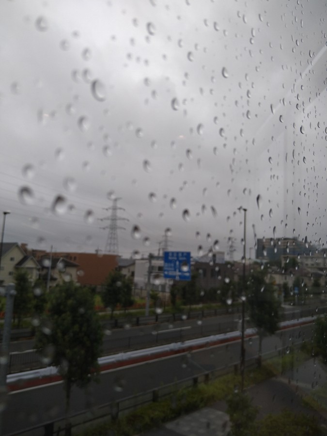 今日は台風🌀