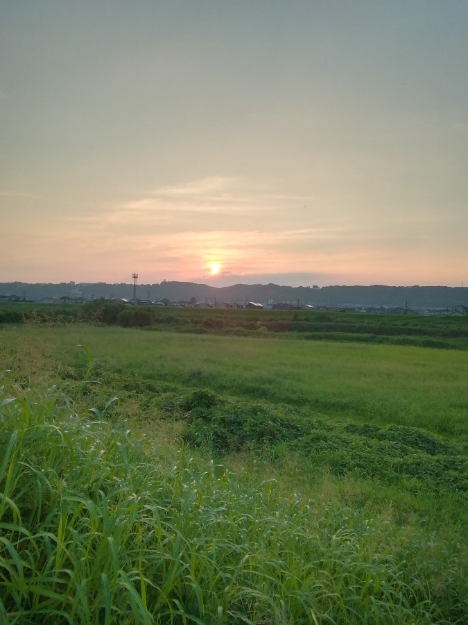 今朝の空