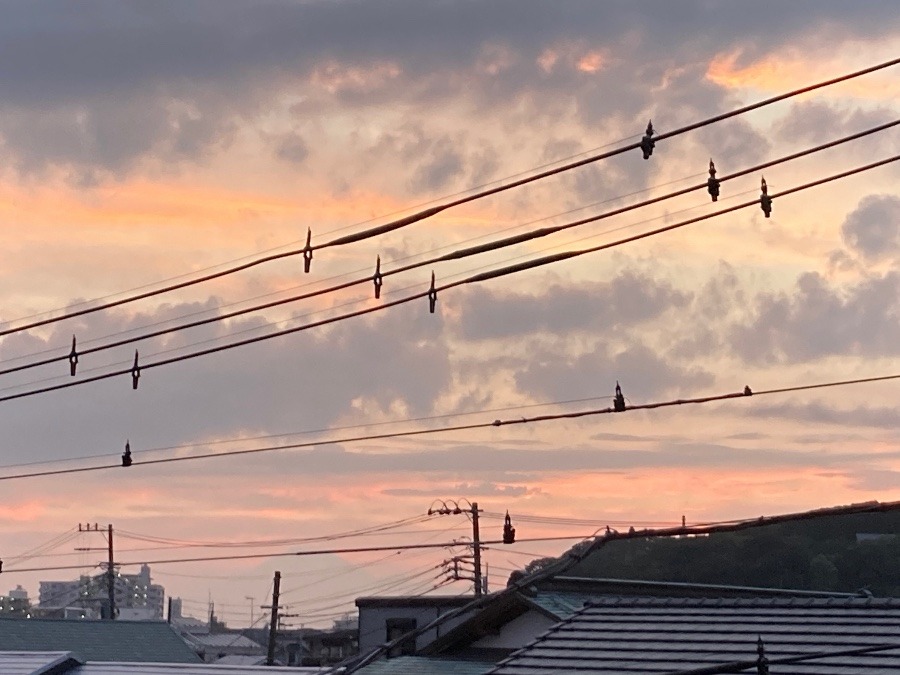 こちらの空には…。