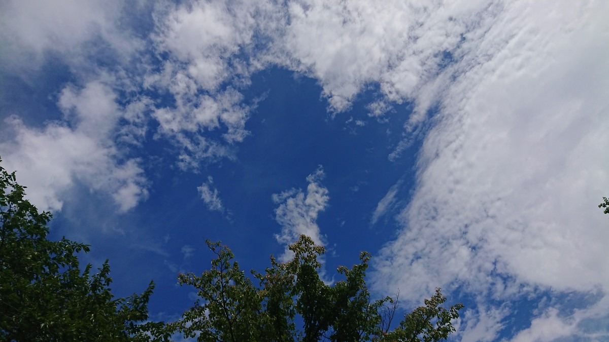 2022/8/12 今の空♪