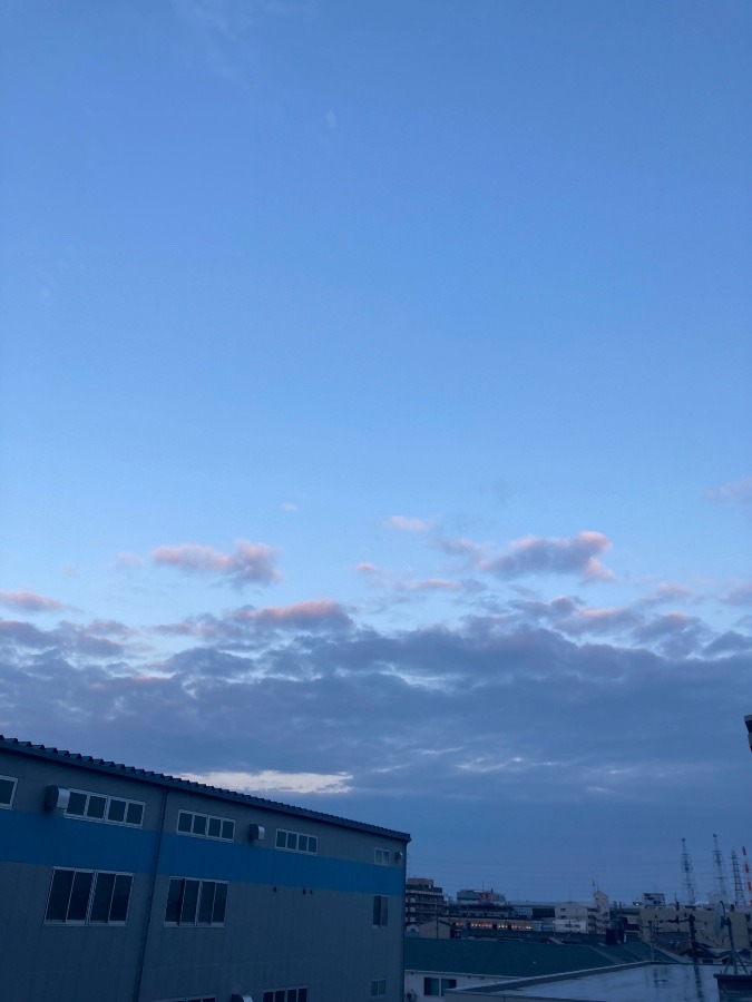 朝だー！