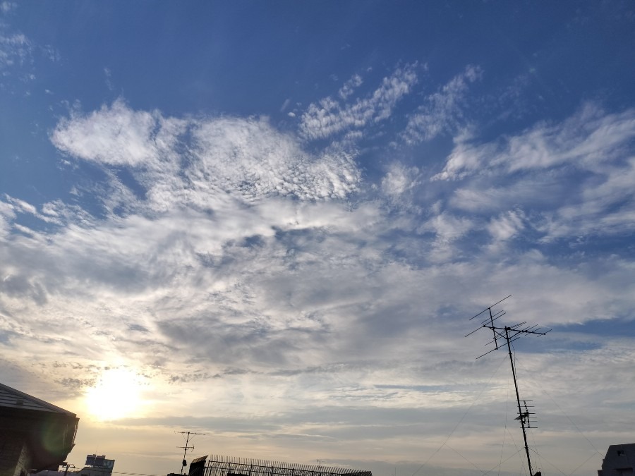 8月20日朝の空