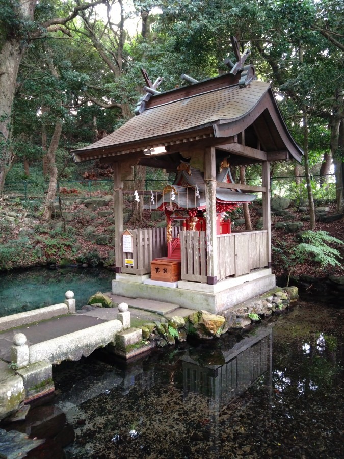 泉が森の湧き水 2