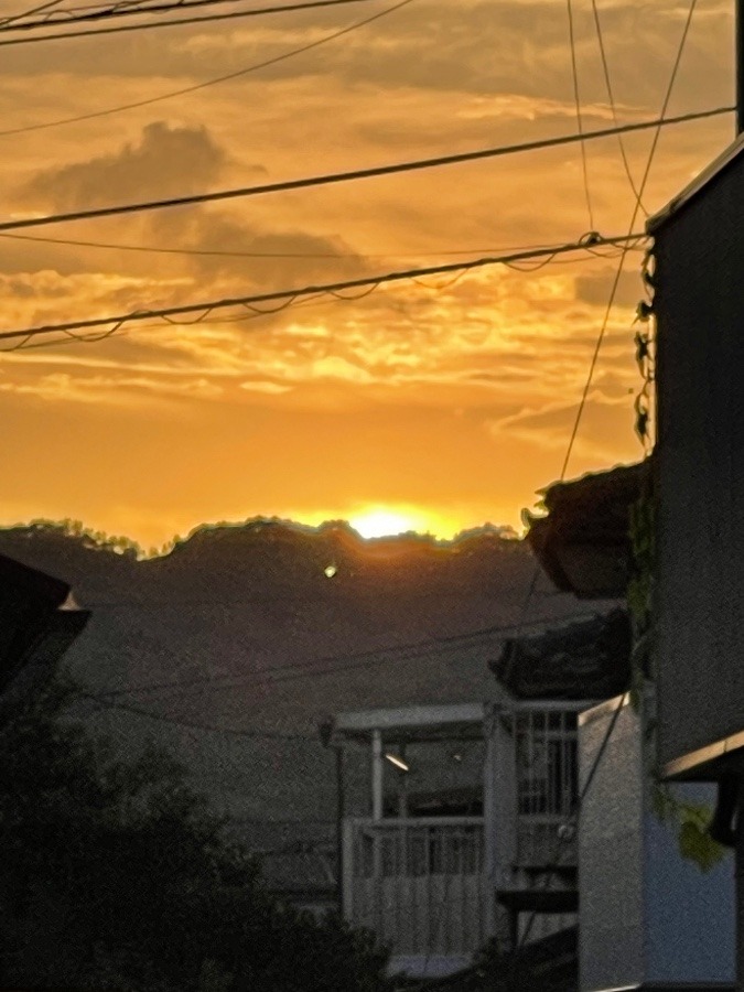 夕日❣️
