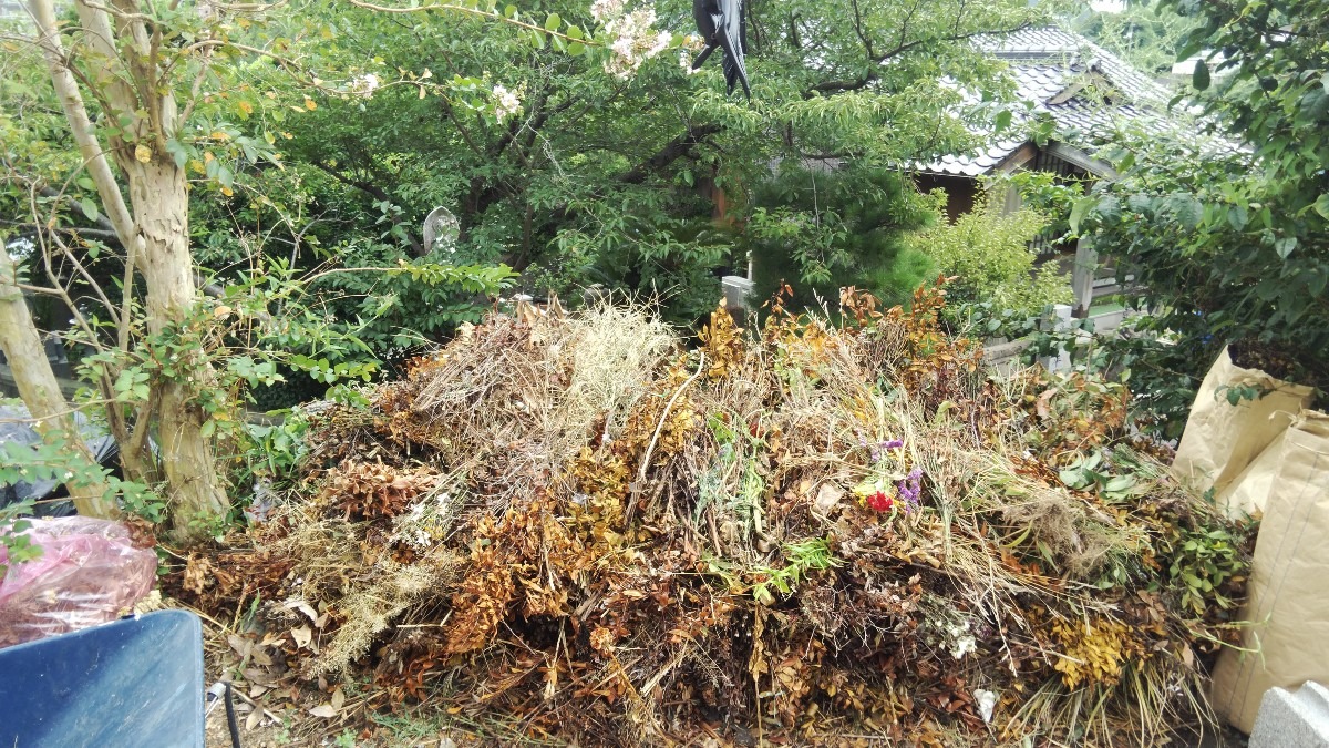 お盆前のシバや花のゴミ集めました。