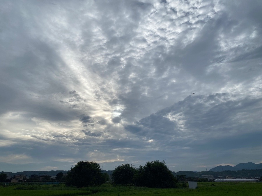 今朝の空　８／12